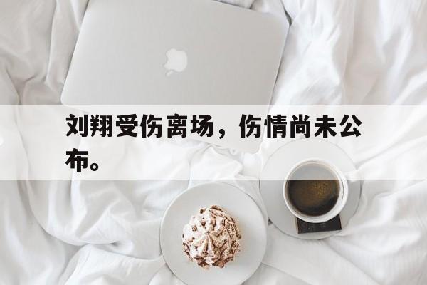 金年会app 下载安装安卓版-刘翔受伤离场，伤情尚未公布。