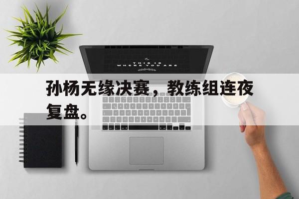 jinnianhui通用版-孙杨无缘决赛，教练组连夜复盘。